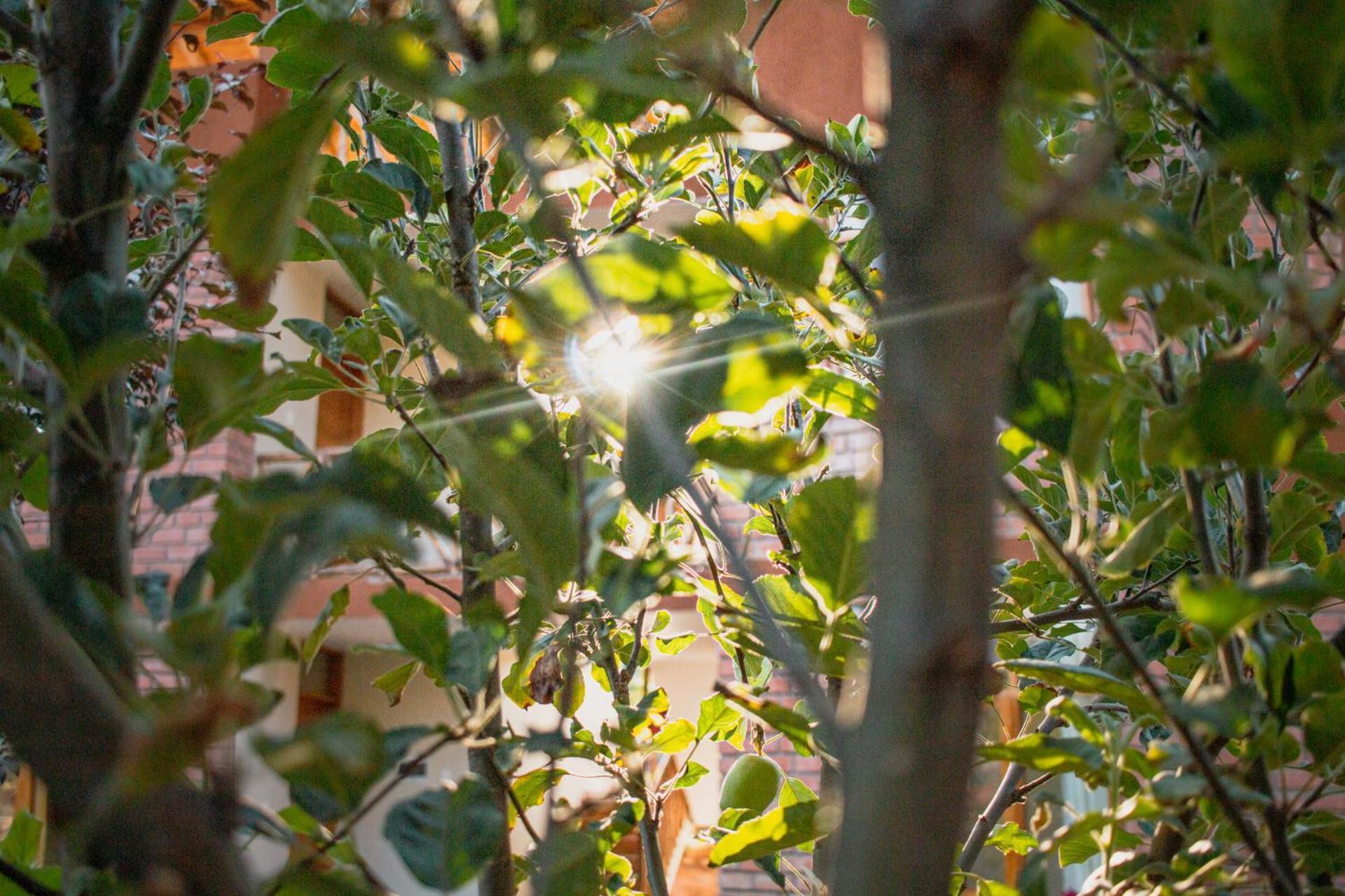 Allin Illary Eco Hospedaje Urubamba Buitenkant foto